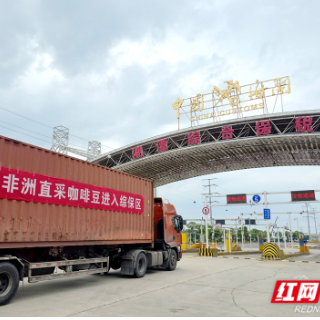 湘潭首单非洲直采咖啡豆顺利抵达