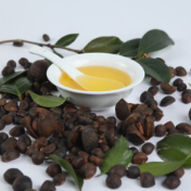 《油茶籽油》《全麦粉》等9项粮油领域国家标准获批发布