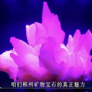 湘恒矿晶出圈亮相郴州国际矿博会  红蓝宝石撩动视觉盛宴