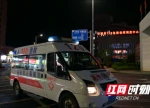 生死竞速！汝城县人民医院深夜跨县接力 剧毒蛇咬伤患者成功获救