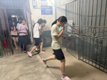 留田中学开展寄宿生晚间应急疏散演练