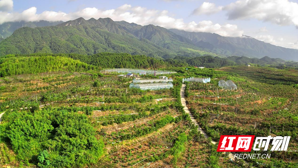湖南城步：法治赋能绘就乡村振兴新图景