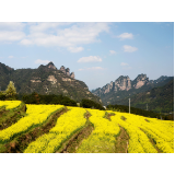 湘轩言丨“大张家界”蓄势以待湖南文旅众行致远