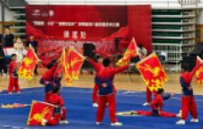 湖南省第八届校园武术比赛在邵阳市开幕