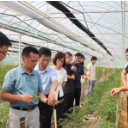 湖南省蔬菜产业技术体系专家深入一线开展汛期应急技术服务