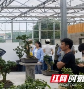 长沙商贸旅游职业技术学院学子化身“数字新农人”赋能花木之乡