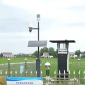 全国早稻进入生长关键期 “智能设备+科学田管”让丰收底色更亮眼