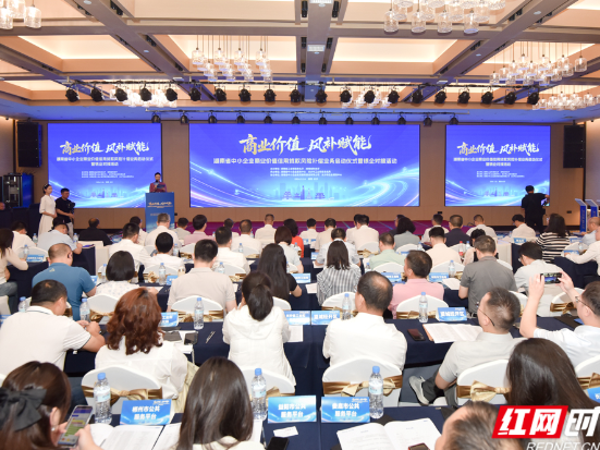 首批16家合作银行 湖南中小企业商业价值信用贷款风险补偿工作正式启动