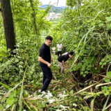 云端“侦察兵” 地面“铁脚板” 地灾防治“空地协同”