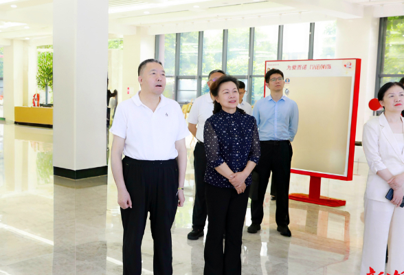 毛万春专题调研中非跨境电商工作