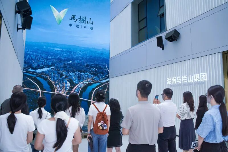 湘粤青年星城论道，共探知识产权赋能新质生产力