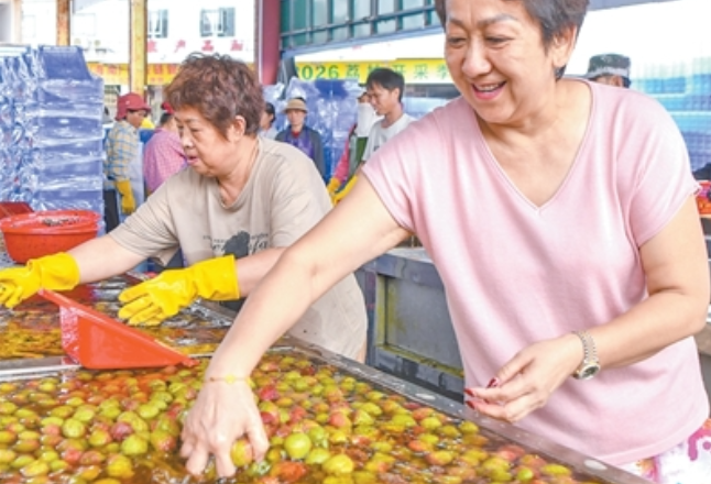 荔枝采摘后为何要泡水？
