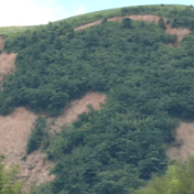 构建全方位地质灾害防治责任体系 湖南拟为地质灾害防治立法