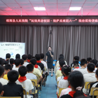 桂阳县：模拟法庭进校园 小学生变身“大法官”