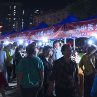 岐黄夜韵惠民生 临武中医“文化夜市”点亮健康新生活