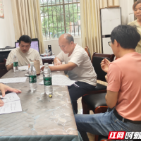 临武县人大深入乡村调研  摸清农村现代化建设真需求