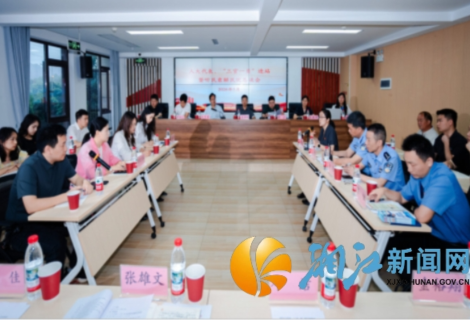 代表进站听民意 法治聚力惠民生——湘江新区观音湖社区深耕多元共治激活基层治理效能