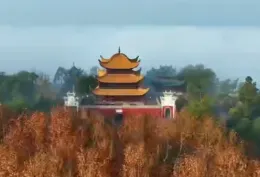 视频丨湘鄂粤桂四省区文艺志愿者与岳阳学生齐诵《岳阳楼记》