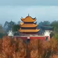 视频丨湘鄂粤桂四省区文艺志愿者与岳阳学生齐诵《岳阳楼记》