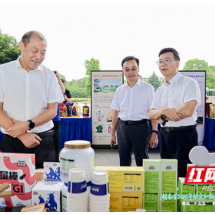 湖南粮油产业全链条创新交出亮眼成果