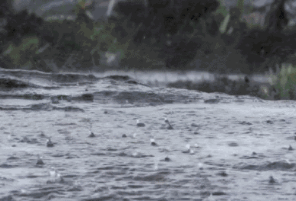 两轮强降雨来袭！湖南发布汛情提醒全力筑牢防汛及高考安全防线