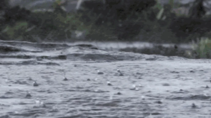 两轮强降雨来袭！湖南发布汛情提醒全力筑牢防汛及高考安全防线