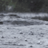 两轮强降雨来袭！湖南发布汛情提醒全力筑牢防汛及高考安全防线