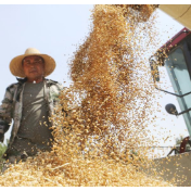 2026年全国粮食和物资储备科技活动周启动 深入推进科技兴粮兴储
