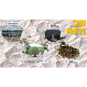 靖州的杨梅熟啦！4条特色采摘路线，收好出发！