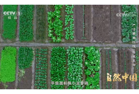 《严守耕地红线》第二集：绘就良田 | 自然中国