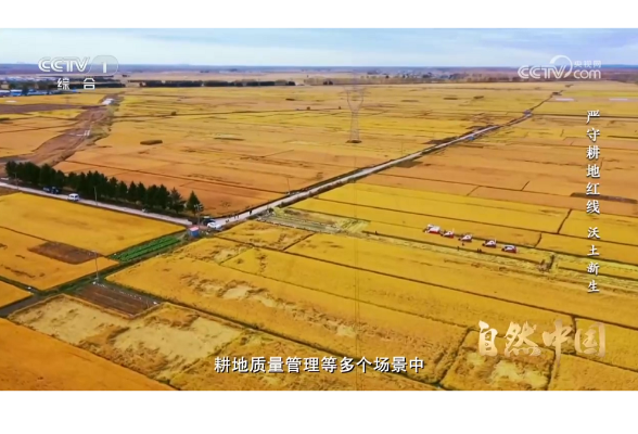 《严守耕地红线》第三集：沃土新生 | 自然中国