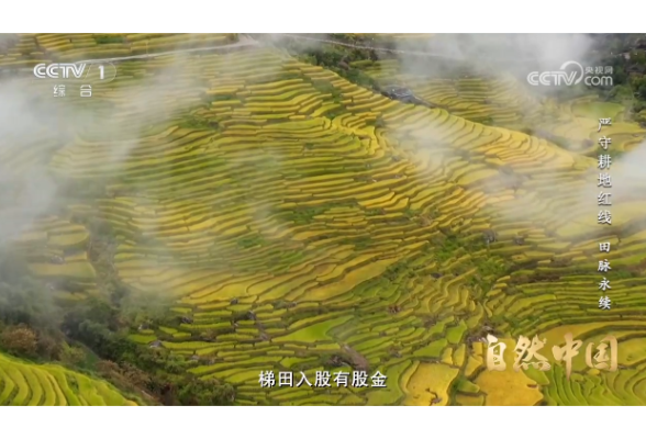 《严守耕地红线》第五集：田脉永续 | 自然中国
