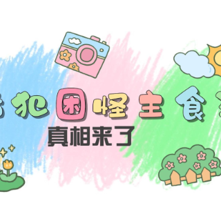奥运宝宝高考啦｜饭后犯困怪主食？真相来了