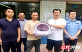 警民携手护生灵 生态文明共绘就——北塔区新滩镇街道成功救助国家二级保护动物斑头鸺鹠