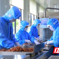 临武县：做优“一只鸭”做精一座城