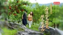 宜章县赤石乡：石漠化荒山蜕变绿色“花果山”