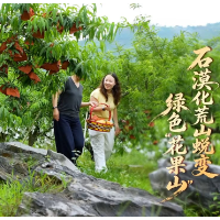 宜章县赤石乡：石漠化荒山蜕变绿色“花果山”