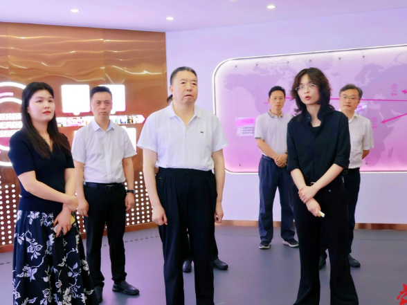 毛万春在马栏山集团调研