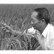 一袋大米跨越万里,什么是非洲农民心中最珍贵的礼物?