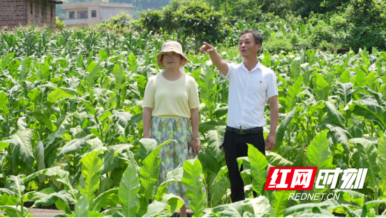 2025年郴州市劳动模范李锋:田间地头践初心 扎根基层办实事1364.png 2025年郴州市劳动模范李锋:田间地头践初心 扎根基层办实事1364.png