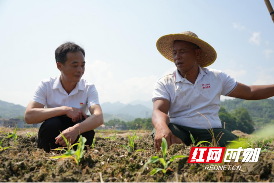 2025年郴州市劳动模范李锋:田间地头践初心 扎根基层办实事1359.png 2025年郴州市劳动模范李锋:田间地头践初心 扎根基层办实事1359.png