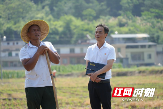 2025年郴州市劳动模范李锋:田间地头践初心 扎根基层办实事1358.png 2025年郴州市劳动模范李锋:田间地头践初心 扎根基层办实事1358.png