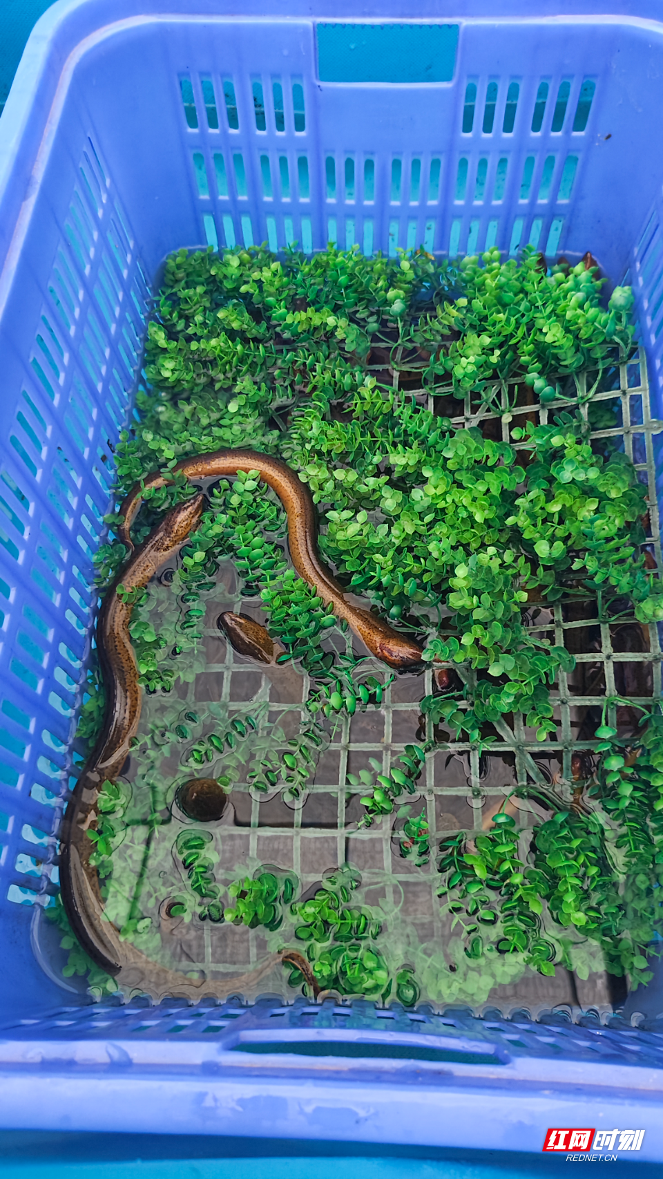 微信图片_20260608193312_36_49.jpg 微信图片_20260608193312_36_49.jpg