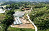千亩稻浪织锦绣 一坝清波润沃土——湖南洞口跃龙村奋力谱写乡村振兴新篇章