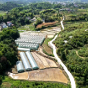 千亩稻浪织锦绣 一坝清波润沃土——湖南洞口跃龙村奋力谱写乡村振兴新篇章