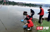 80万尾鱼苗“安家”资江！大祥区这场增殖放流活动“干货”满满