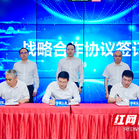 中国人寿集团驻株成员单位与中国石化株洲分公司签署全面合作协议