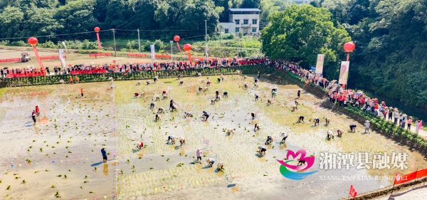 微信图片_20260610142521_496_492(1).jpg 微信图片_20260610142521_496_492(1).jpg
