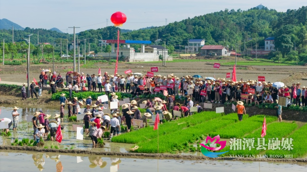 微信图片_20260610140418_490_492(1).jpg 微信图片_20260610140418_490_492(1).jpg