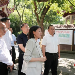 朱健赴南岳区调研经济高质量发展工作